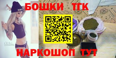 индика Нальчик