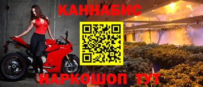 индика Нальчик