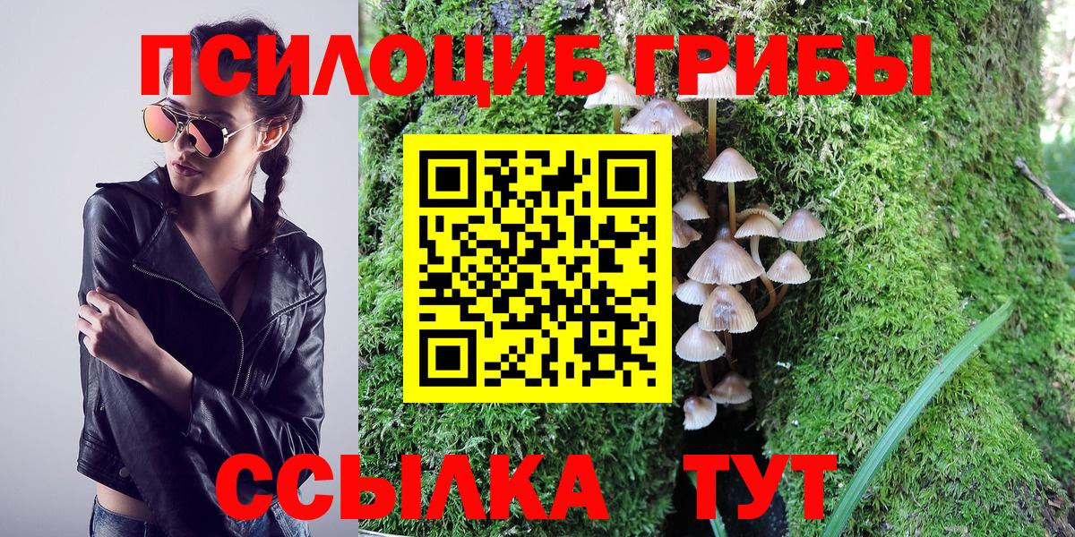 Псилоцибиновые грибы MAGIC MUSHROOMS Курган